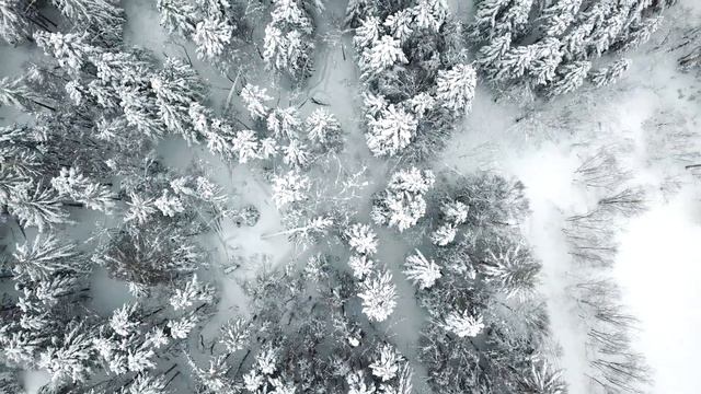 г.Долинск, городской парк. Сахалинский апрель