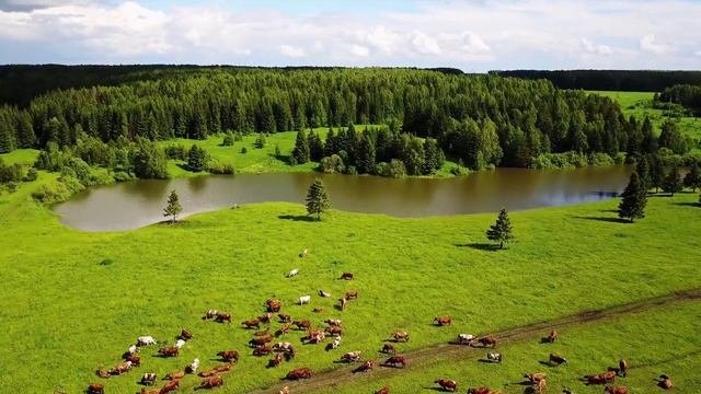 верность