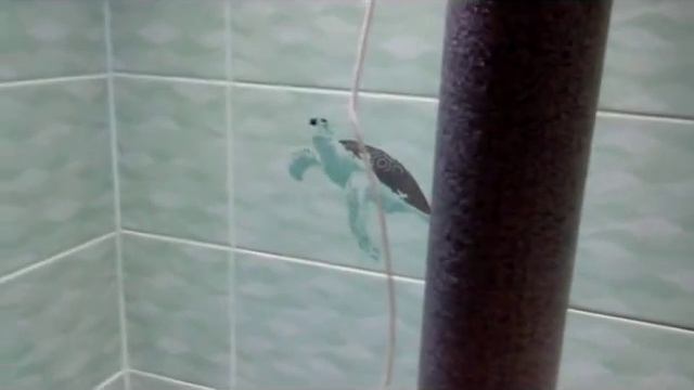 Ректификационная колонна. смотреть онлайн