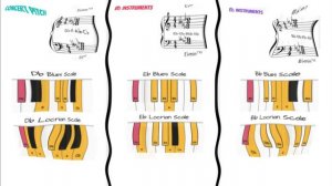Half Diminished 7th Chords Workout