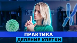 Деление клетки: Практика | ИНТЕНСИВ | Ксения Напольская