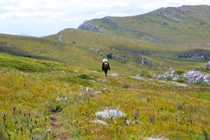 665 Стремнинами сны( Не  верю  в  сей  сон)...  ст.  Владимир Полуничев