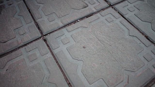 Полимерная плитка на растворе с ФЕРИ 3 года спустя. Что с ней стало? смотреть онлайн