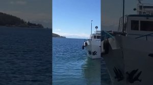 Байкал Ярославец проекта 376