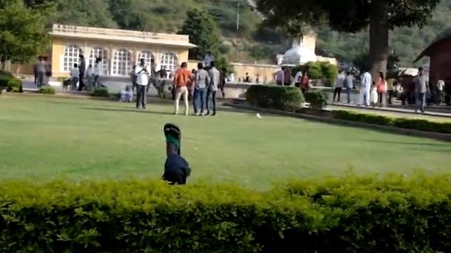 Шокирующая Азия