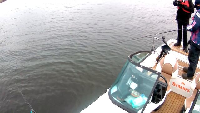 В призах на САМОМ КРУТОМ ТУРНИРЕ! PAL 2021