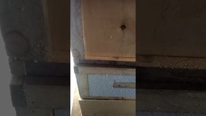 Улья из фанеры