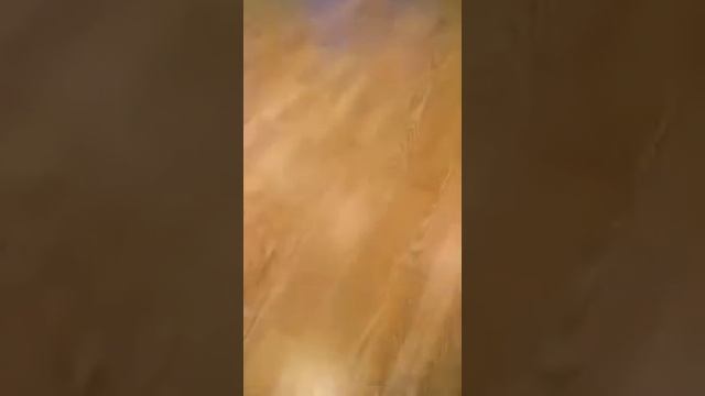 Циклевка паркета без выноса мебели смотреть онлайн