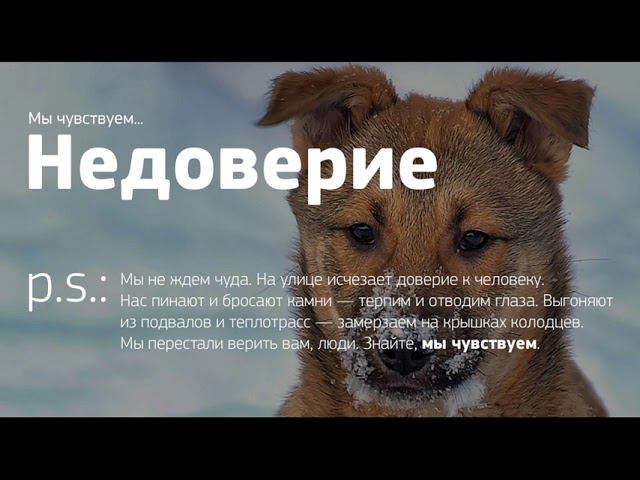 Мы чувствуем