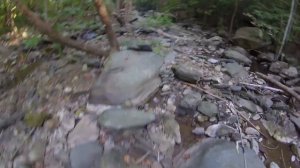 How To Catch Trout In Creeks/Rivers With Spinning Rod: Native/Wild Brook Trout Fishing