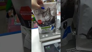 Как выбрать сухой корм для кошки, известные бренды кормов, классификация, состав.