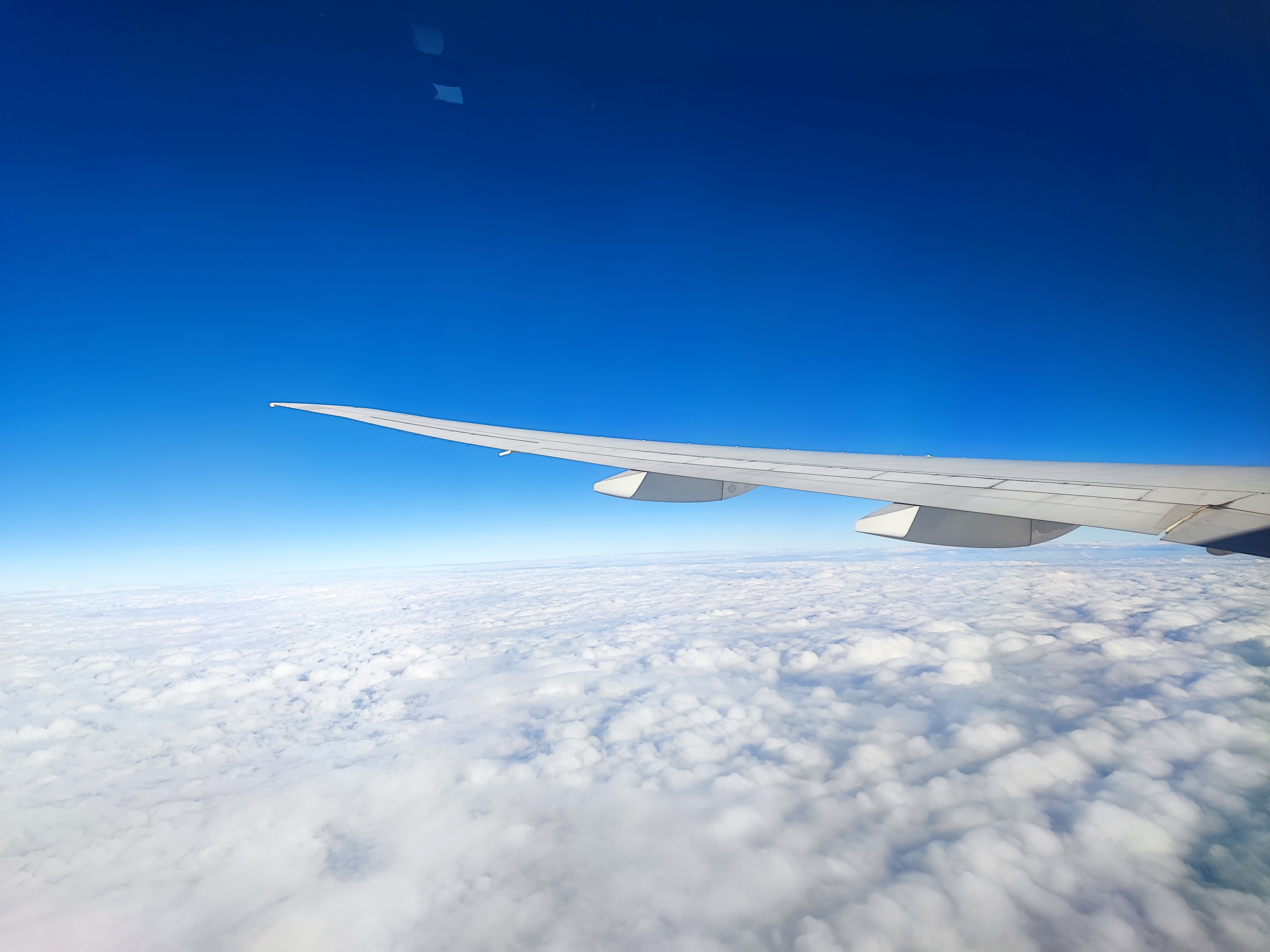 Сняли редкое явление - Глория. смотреть онлайн