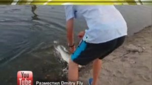 Мобильный репортёр. Выпуск от 22.08.14.