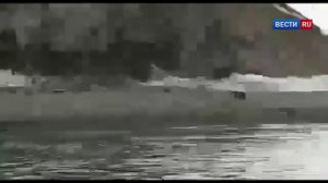 "Беги, Серега!": очевидец снял на видео фатальную встречу рыбака с медведем