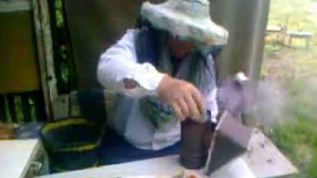 Мёд 2013 года. смотреть онлайн