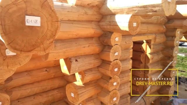 Сруб из кедра от ДРЕВМАСТЕР смотреть онлайн