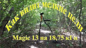 Как видит мелкие цели катушка Magic 13 для Minelab X Terra 18,75 кГц