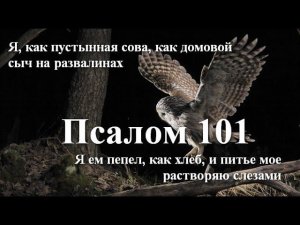 101 Псалом  с толкованием. Тяжелый псалом об испытаниях в плену.