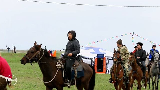 Гимн тюльпану фестиваль. За 24 часа до праздника. смотреть онлайн