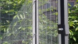 Вольер для кота с противомоскитной сеткой.