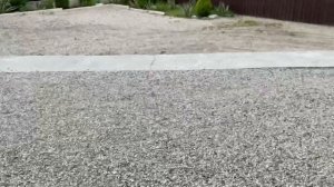 Отель Taminik, г. Гагра