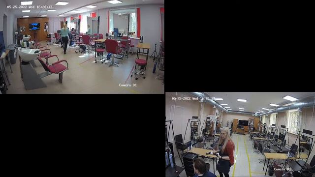 Демоэкзамен по компетенции "Парикмахерское искусство" СПб ГБПОУ "Петровский колледж" смотреть онлайн