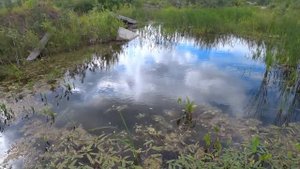 очки для рыбалки с рогаткой