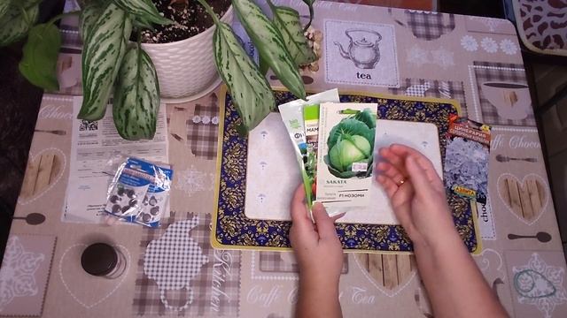 Достала ,урвала новый томат Алтая ! Избавилась от клеща .Мороженое? смотреть онлайн