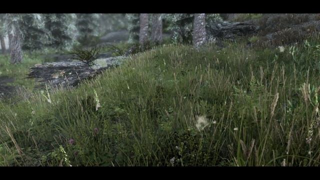 Skyrim SE - Grass Mods Comparison (Updated) смотреть онлайн