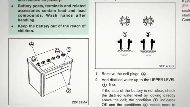 2014 NISSAN Murano - Fluid Check Point смотреть онлайн