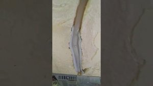 Вода в холодильной камере Samsung