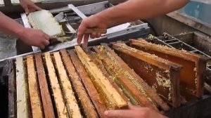 Откачка меда Станок для распечатки сотовых рамок Extracting Honey