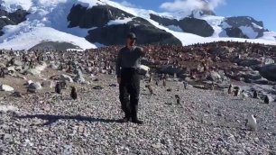 Актёр Дэвид Харбор станцевал с пингвинами в Антарктике
