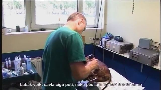 Video, Ветеринарная клиника