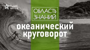 Почему вода в океане постоянно находится в движении? Лекция океанолога Александра Осадчиева.