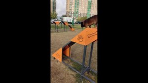 Собака пти-брабансона впечатляет прыжками на собачьей площадке!