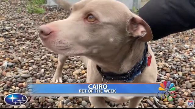 2024 02 21 10 35 01 смотреть онлайн