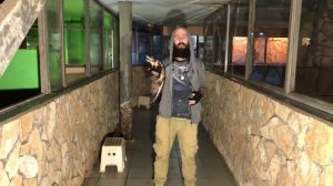 Крокодиловый кайман - худший выбор новичка