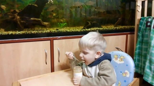 Как должен кушать ребенок в 2 года смотреть онлайн