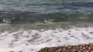 Аффирмации для привлечения клиентов