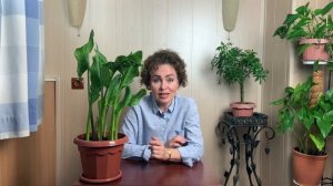 МОШКИ. Как избавиться от Мошек. Мошки в цветах.