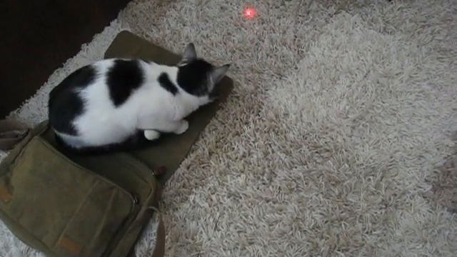 Elmo Hiski ja Tepukainen laserin perässä