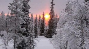 Зимний вечер