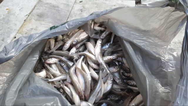 Упражнение На Воспитание Трудолюбия. смотреть онлайн