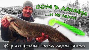 СОМ НА СПИННИНГ В ДЕКАБРЕ! Вот это улов!| Ловля судака и сома на джиг с лодки | С удочкой по Чехии