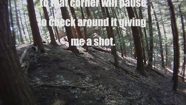 KJW M700 Sniper Scope Cam 12 смотреть онлайн