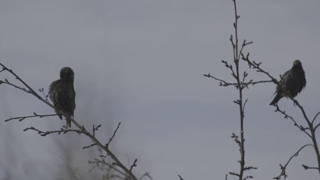 Съёмка в F-Log на FUJIFILM X-T30 смотреть онлайн