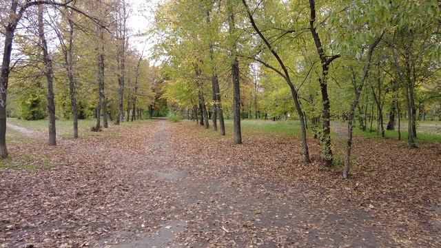 Парк Южный, Воронеж 15 10 22 г. Yuzhny Park, Voronezh