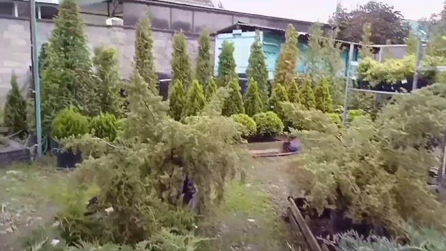 Торговый центр Летто. Всё для нашего участка и даже больше. 🌳 смотреть онлайн