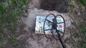 Detech Relic Striker VS  монета под гвоздем.